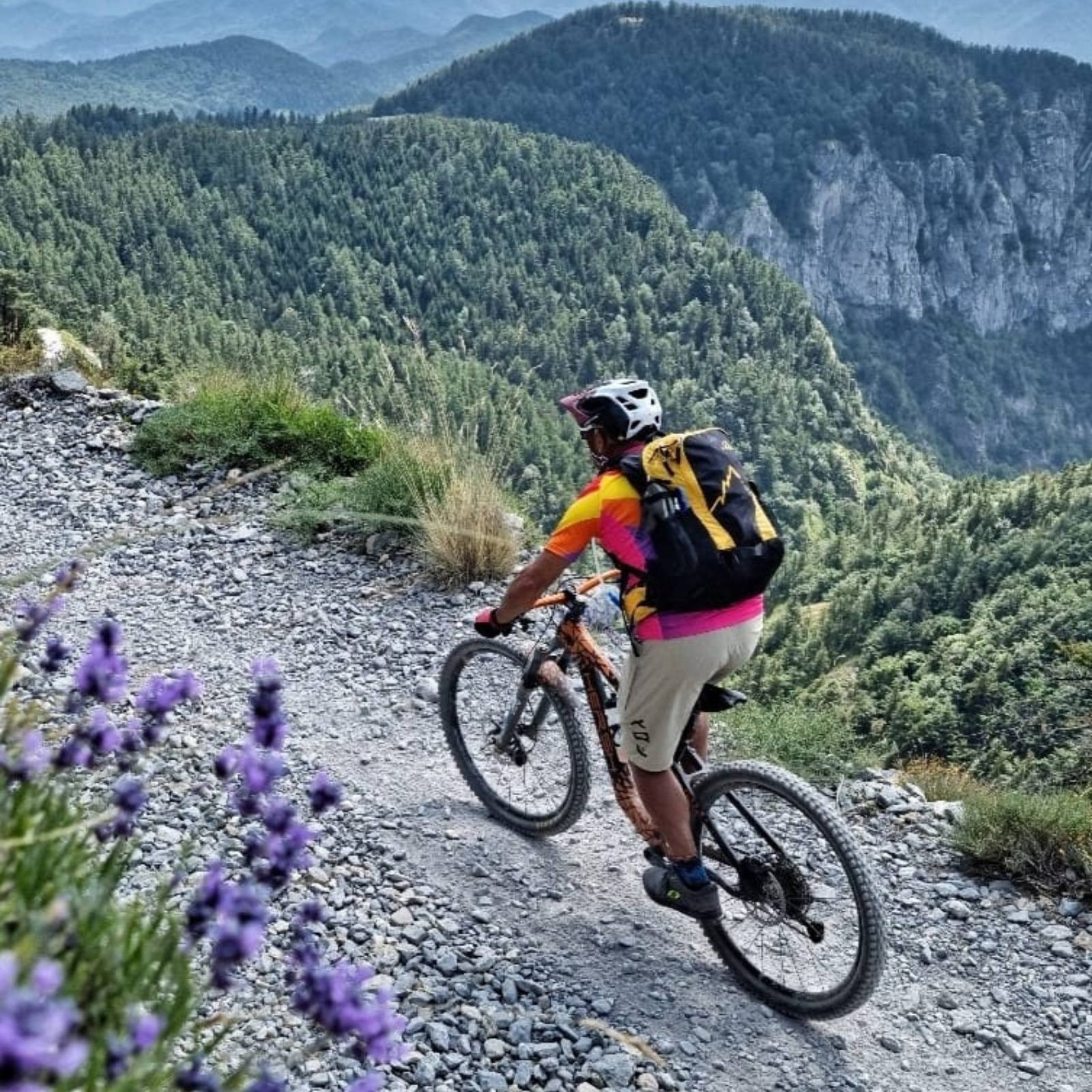 Tailor-made multi-day tours