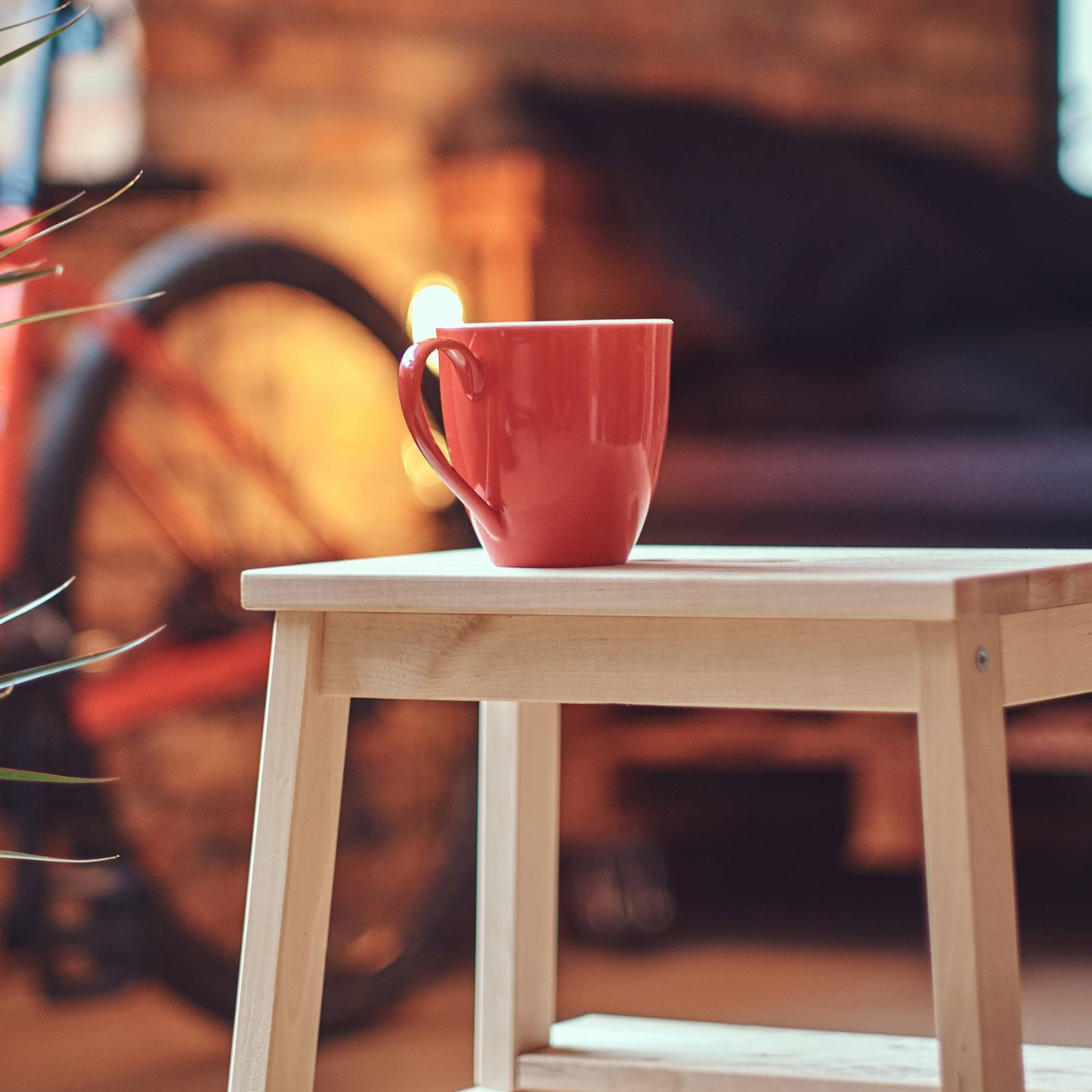 Hotel: Da Hotel a Bike Hotel